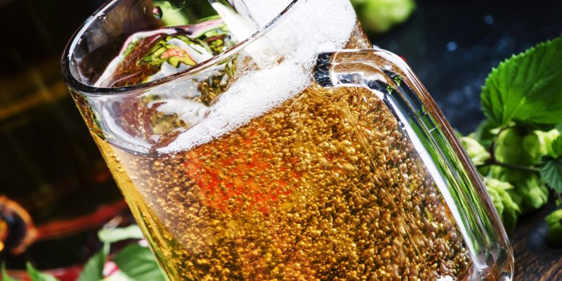 Large mugs with german light beer and fresh hops, pours into glass, dark table, selective focus